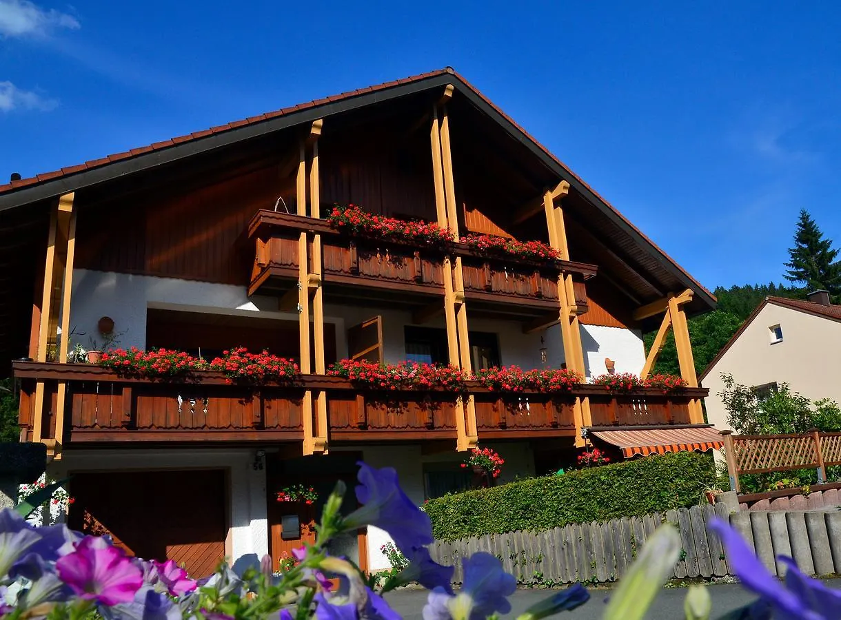 Pensión Pension Mausbachtal Warmensteinach